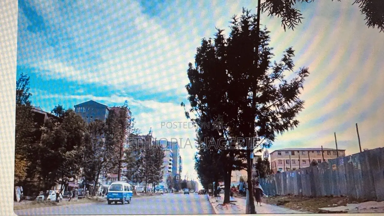 የ20/80 ኮንዶሚንየም ሱቅ ሽያጭ