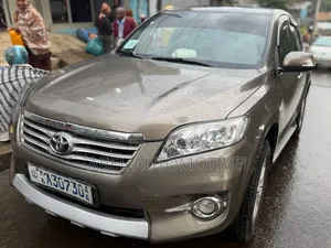 Toyota RAV4 2010 Gray