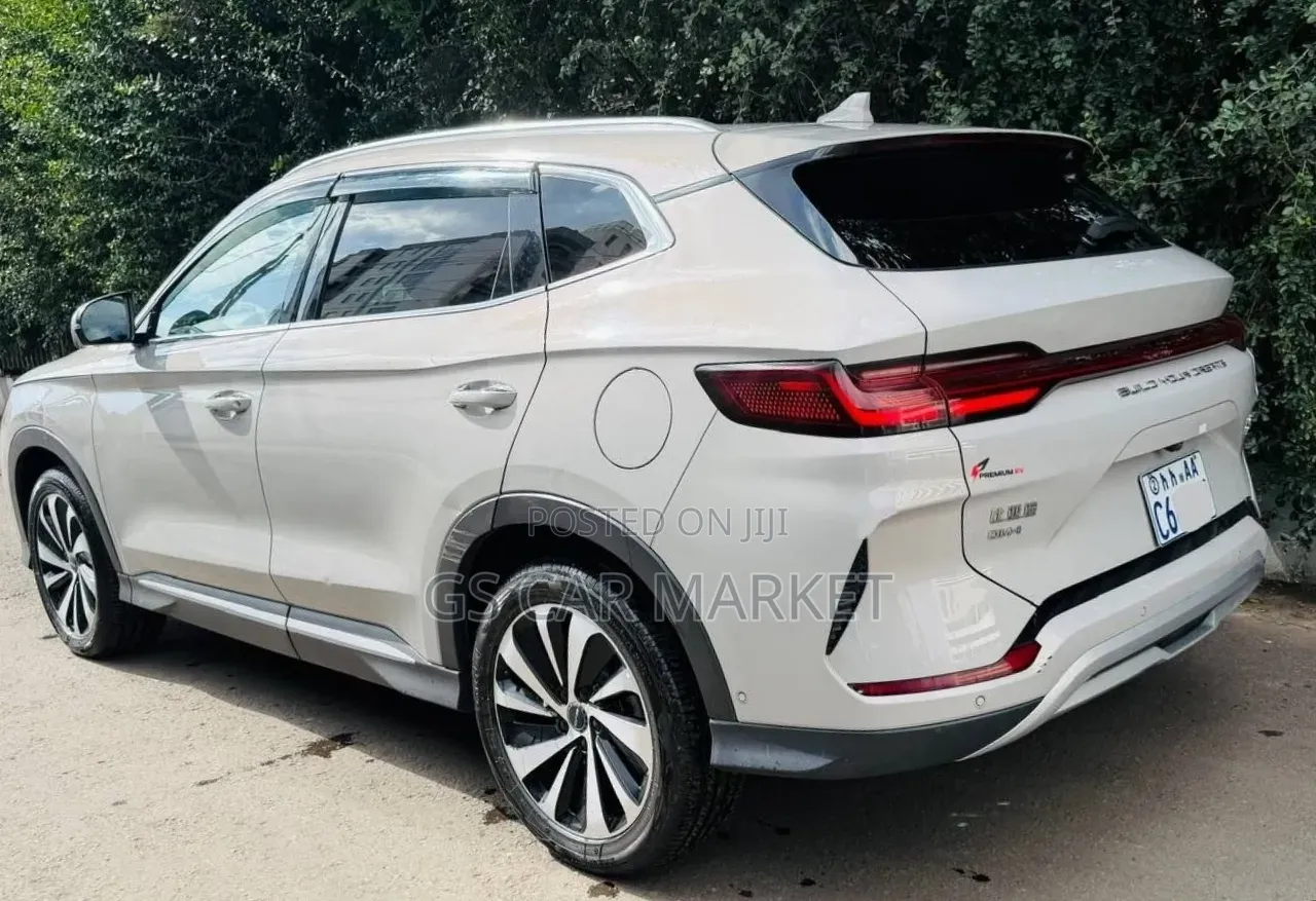 BYD Song Plus DM-i 2024 Beige