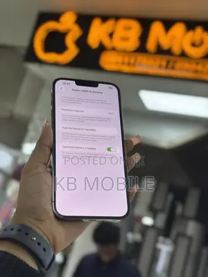 New Apple iPhone 13 Pro Max 256 GB Gray