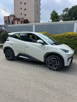 New BYD Seagull 2025 White