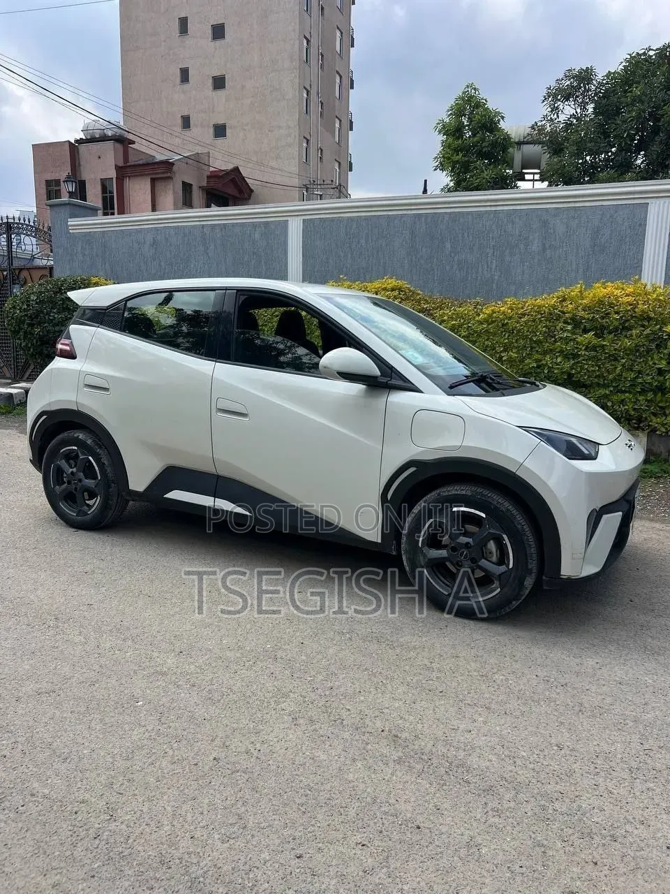 New BYD Seagull 2025 White