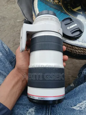 Zebra Lens