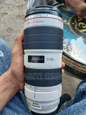 Zebra Lens