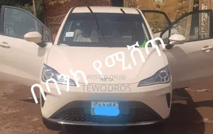BYD E2 43 kWh 94 hp FWD 2024 Off white