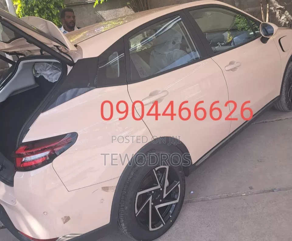 BYD E2 43 kWh 94 hp FWD 2024 Off white