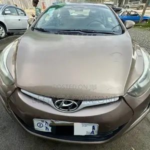 Hyundai Elantra 2015 Brown