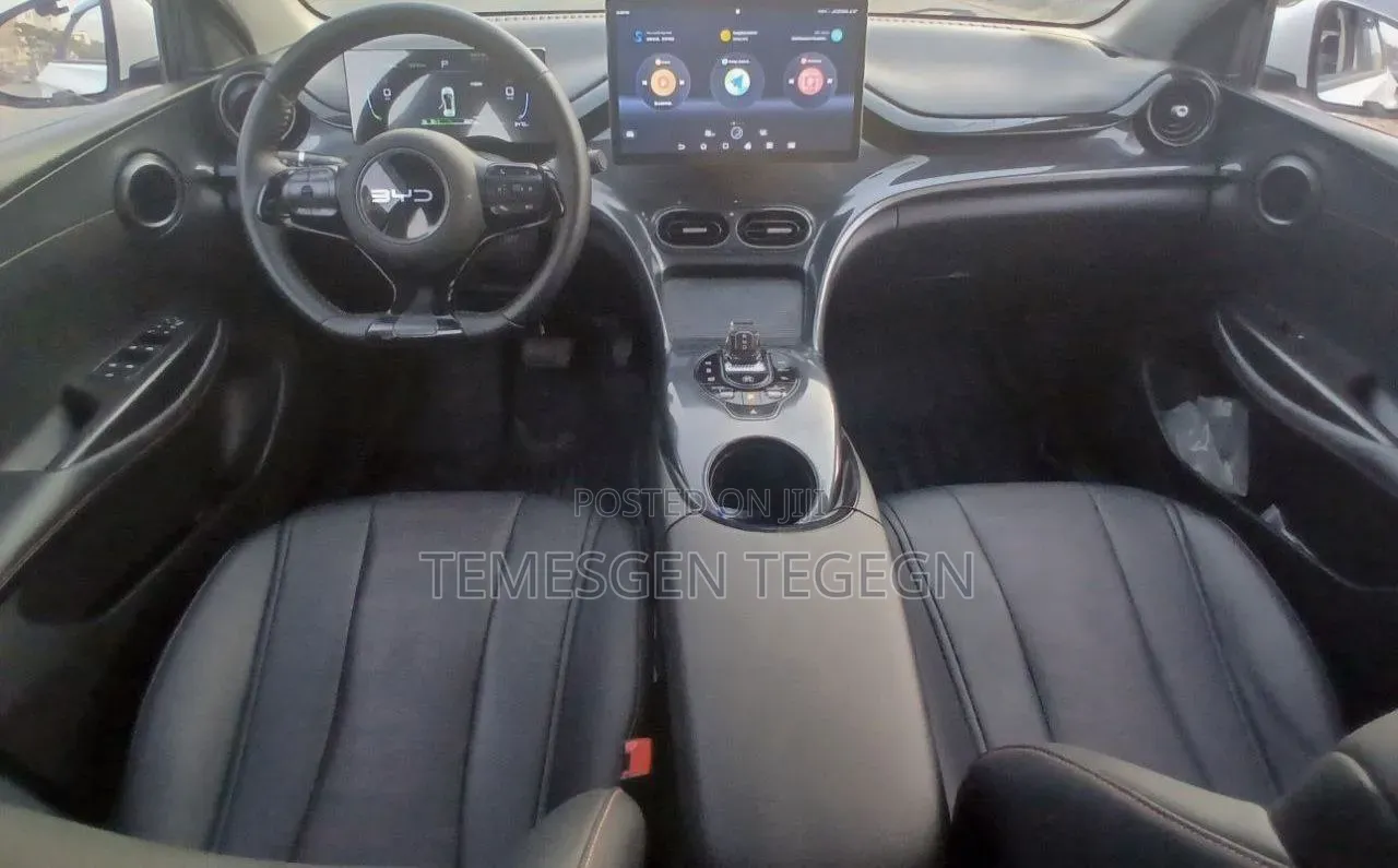 New BYD E2 43 kWh 94 hp FWD 2024 Gray