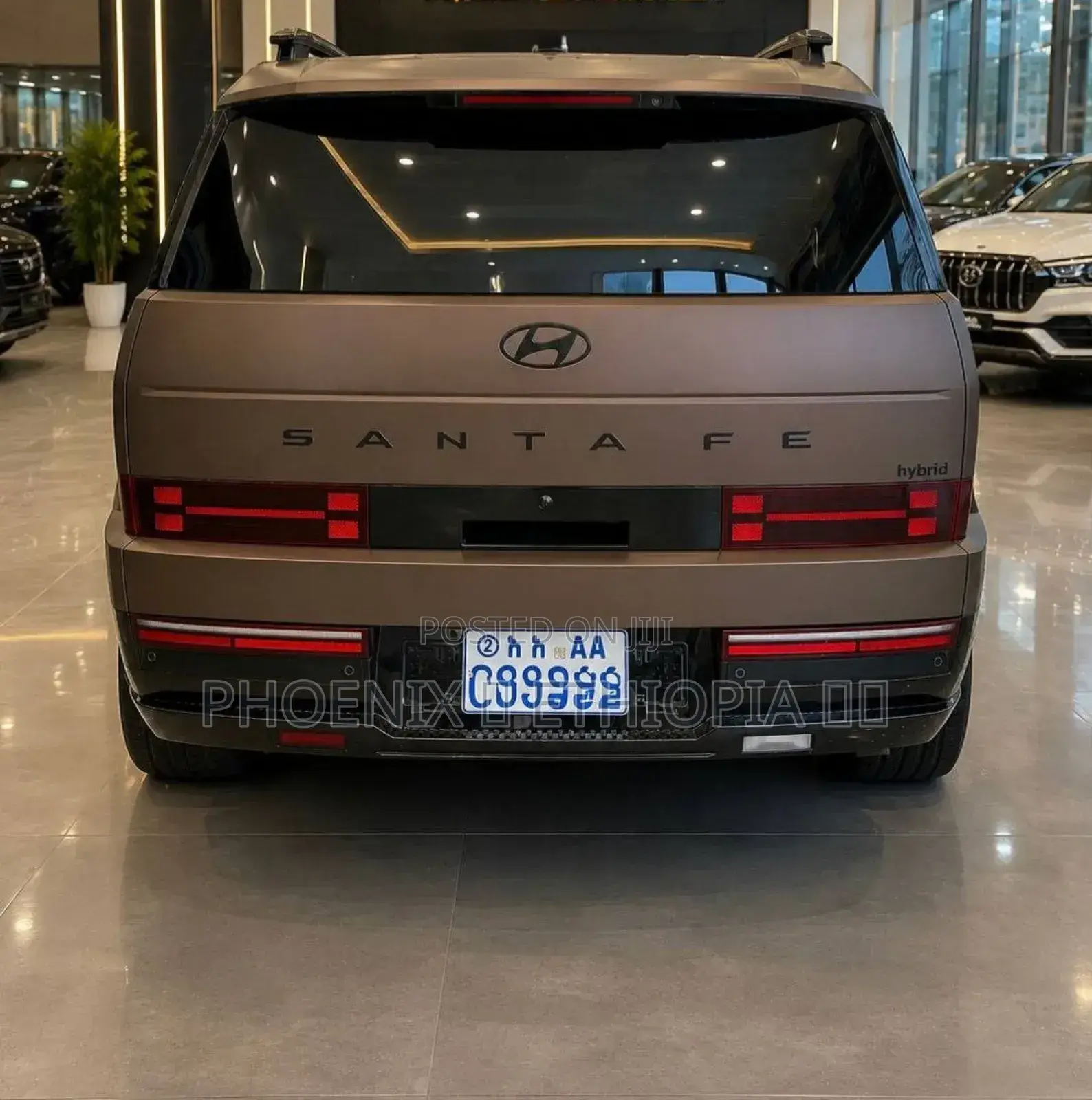 Hyundai Santa Fe 2024 Brown