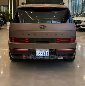 Hyundai Santa Fe 2024 Brown