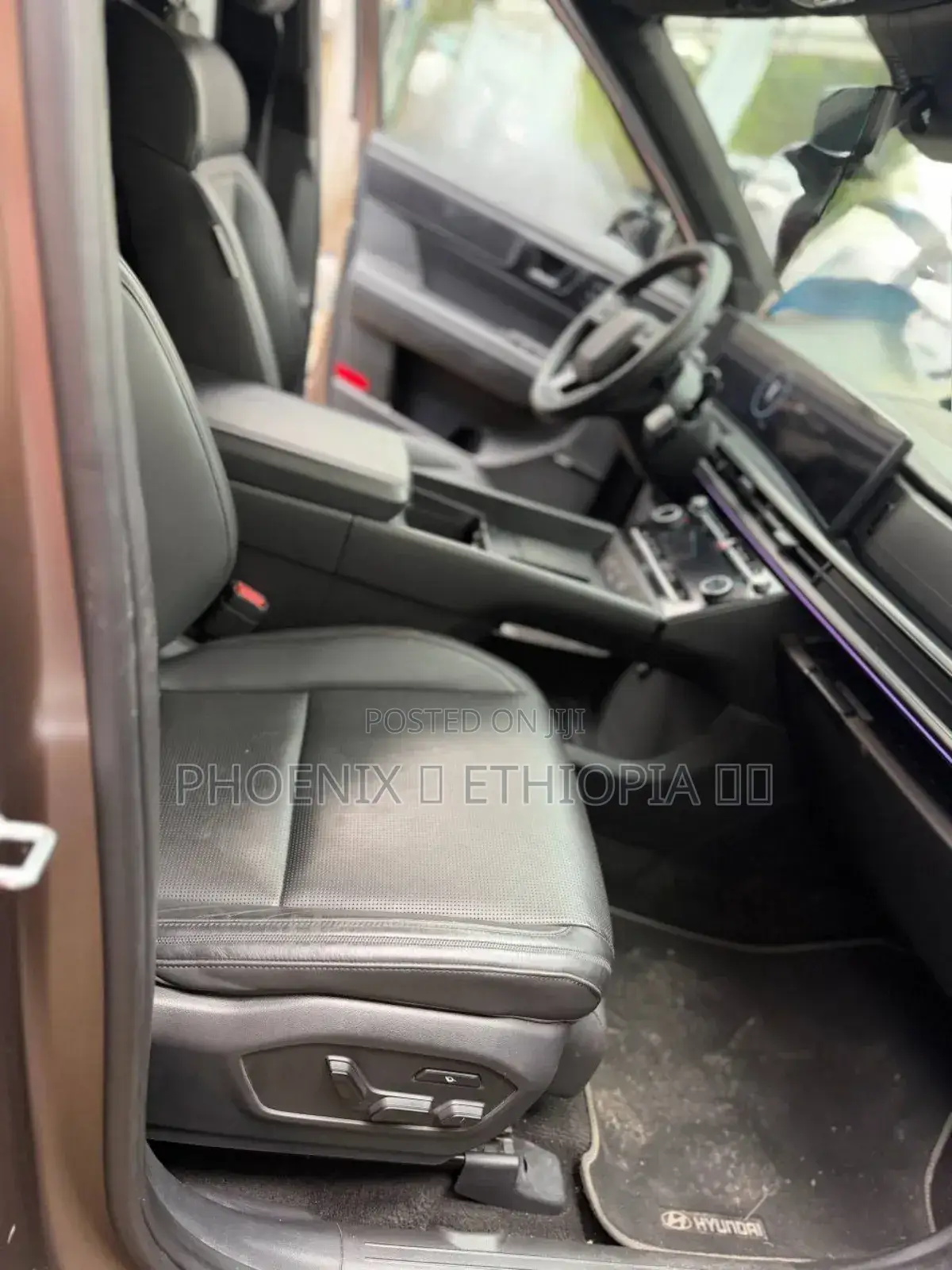 Hyundai Santa Fe 2024 Brown