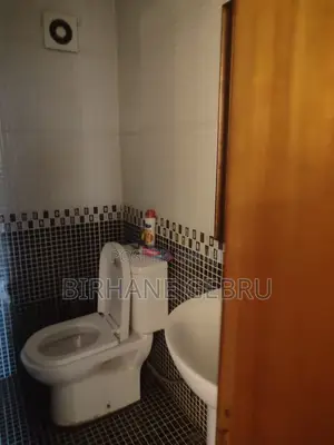 Furnished 1bdrm Apartment in Luxury Apartiment, Bole for rent