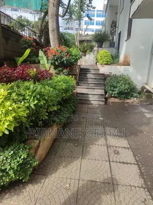 Furnished 1bdrm Apartment in Luxury Apartiment, Bole for rent