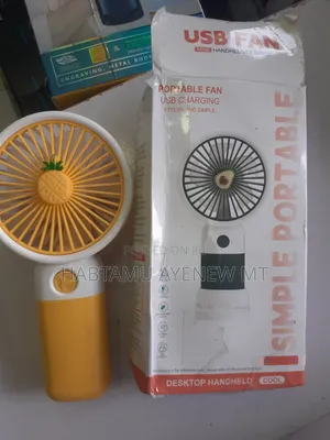 Mini Elegant Fan