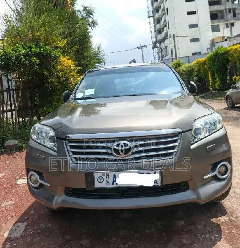 Toyota RAV4 2012 Brown