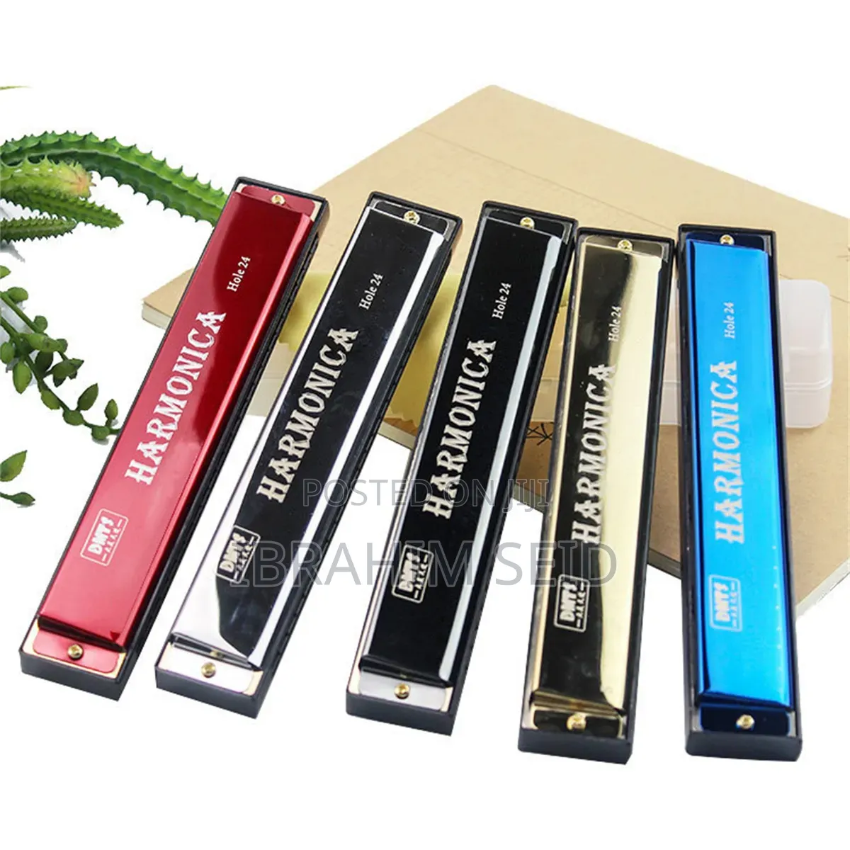 Professional 24 Hole Harmonica for Beginners With Case