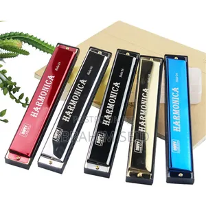Professional 24 Hole Harmonica for Beginners With Case