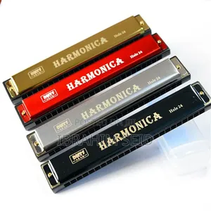 Professional 24 Hole Harmonica for Beginners With Case