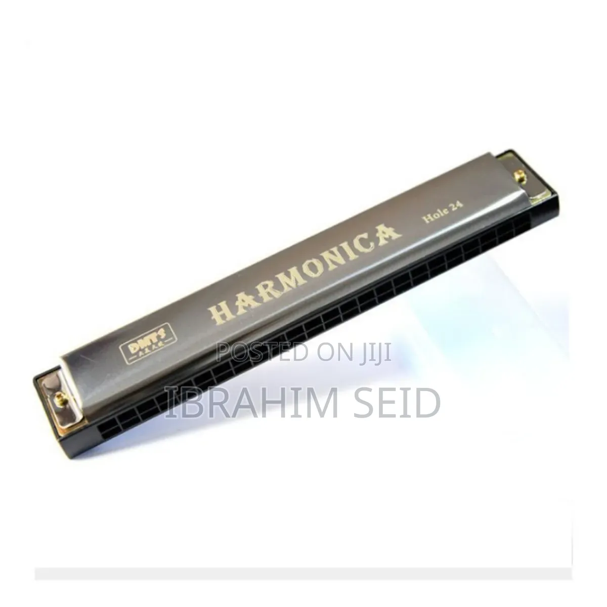 Professional 24 Hole Harmonica for Beginners With Case