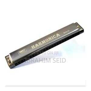 Professional 24 Hole Harmonica for Beginners With Case