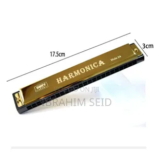 Professional 24 Hole Harmonica for Beginners With Case