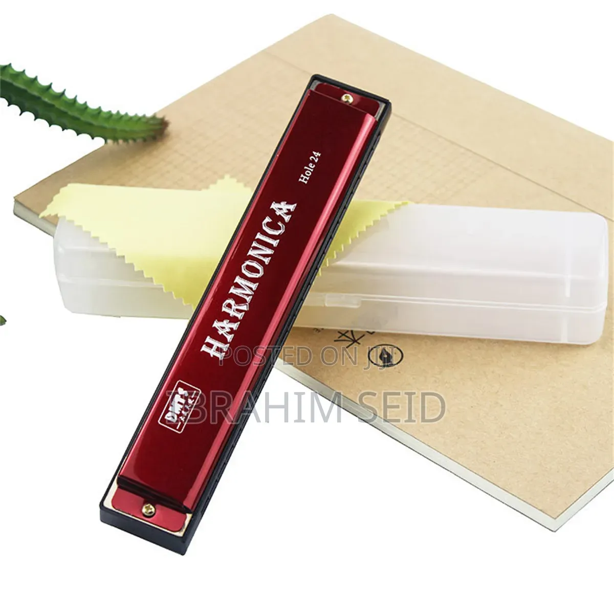 Professional 24 Hole Harmonica for Beginners With Case