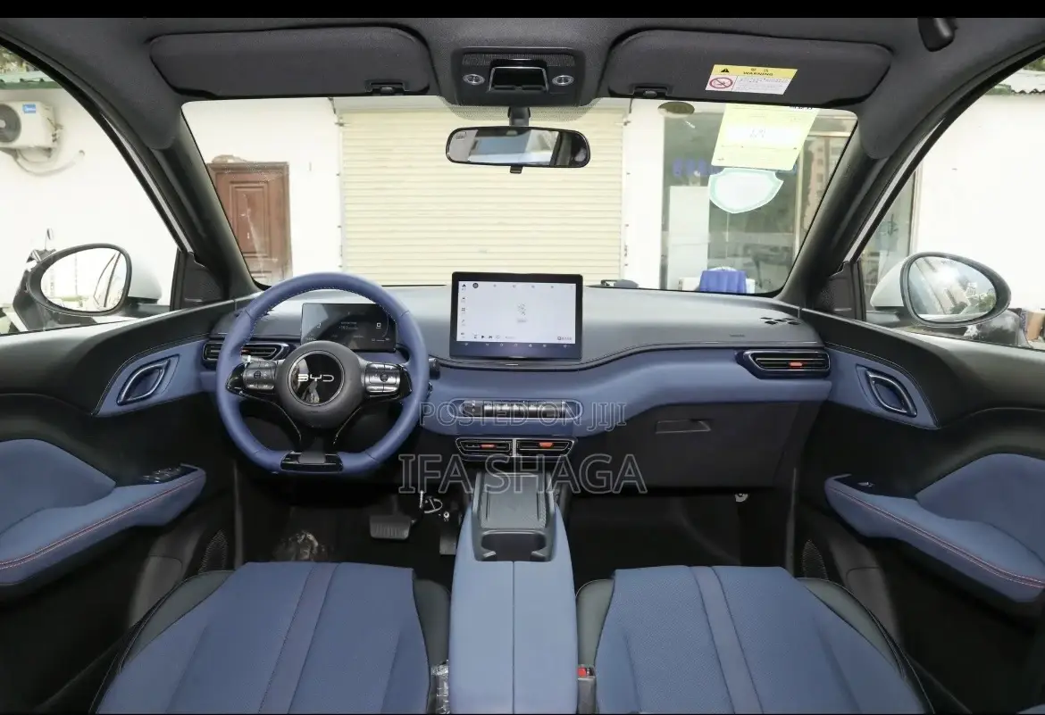 New BYD Seagull 2025 Pearl