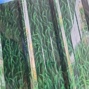 ኤጋ ኮሪደር ቆርቆሮ, Ega Corridor Korkoro, Ega Painted