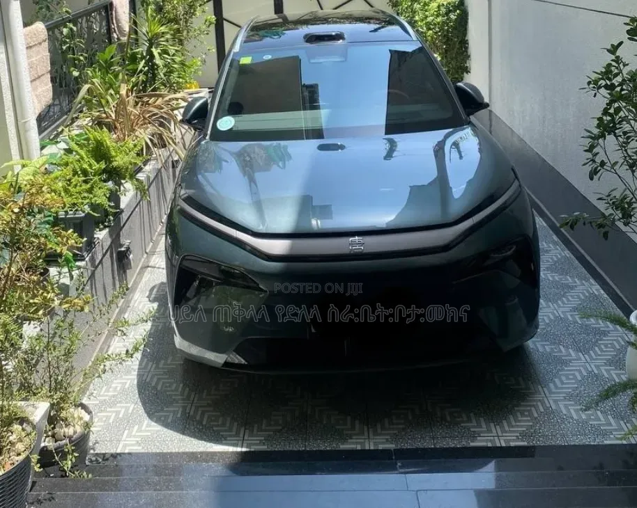 BYD Tang EV 2025 Green