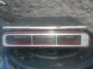 Camry Digital Scale