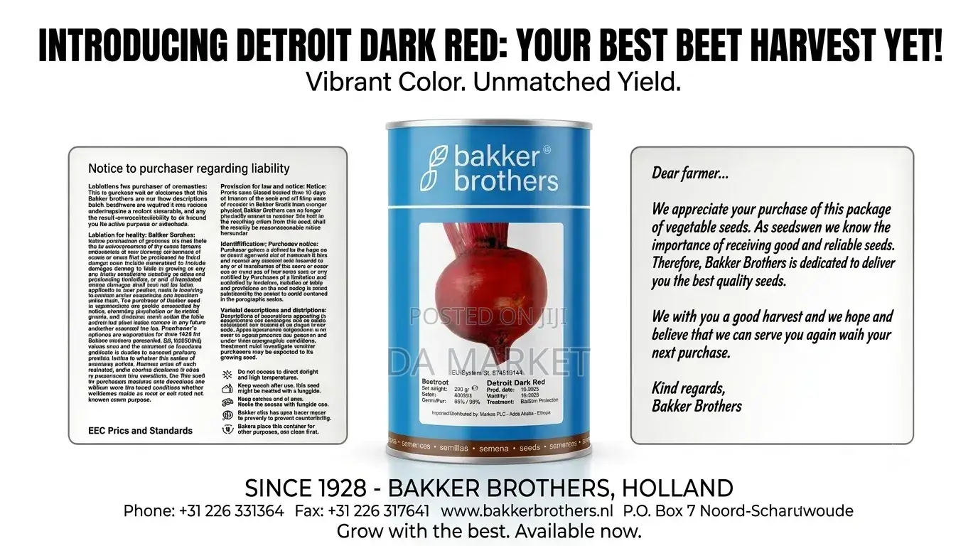 Bakker Brothers Detroit Dark Red Beet Seeds.(የቀይ ስር ዘር)