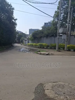 Bole Japan Embassy 1,000 Meter Square Land Sale
