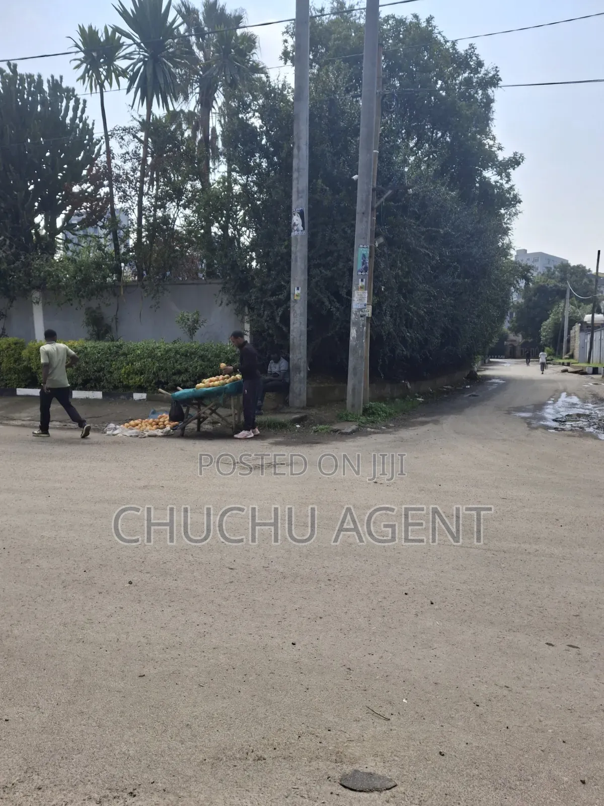 Bole Japan Embassy 1,000 Meter Square Land Sale
