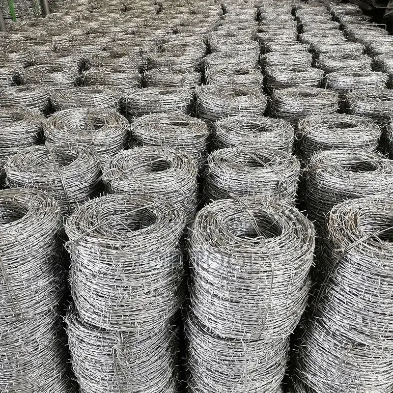 እነዚህ በጋልቫናይዝድ (Galvanized) ብረት የተሠሩ ባህላዊ ጠመዝማዛ (Twist) እሾህ ሽቦዎች