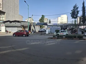 Meskelflower 1,000 Meter Square Land Sale