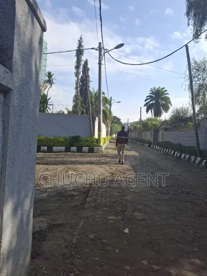 Meskelflower 1,000 Meter Square Land Sale