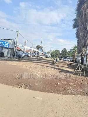 Meskelflower 1,000 Meter Square Land Sale