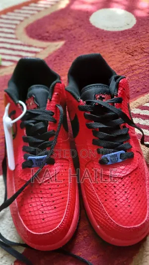 Brand New Custom Air Force Shoes