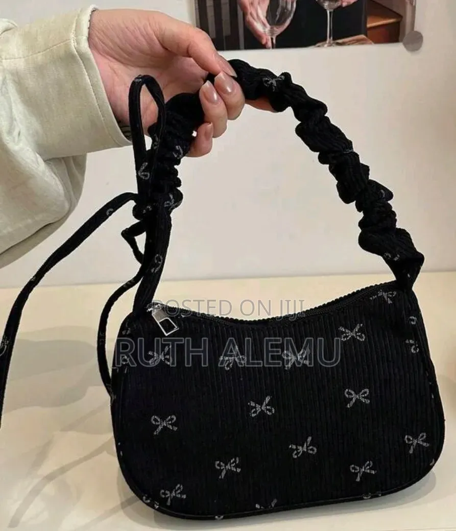 Ladies Hand Bag