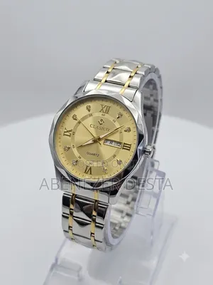 Clasico Quartz Watch Stainless Steel Strap and a Gold-Colored