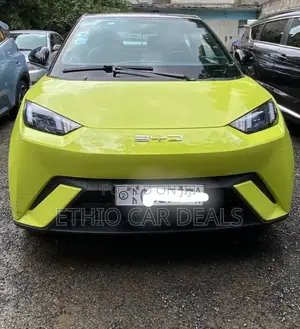 BYD Seagull 2024 Yellow