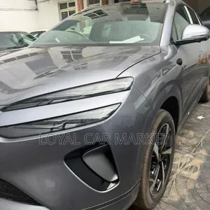 New BYD Sealion 06 EV 2025 Gray