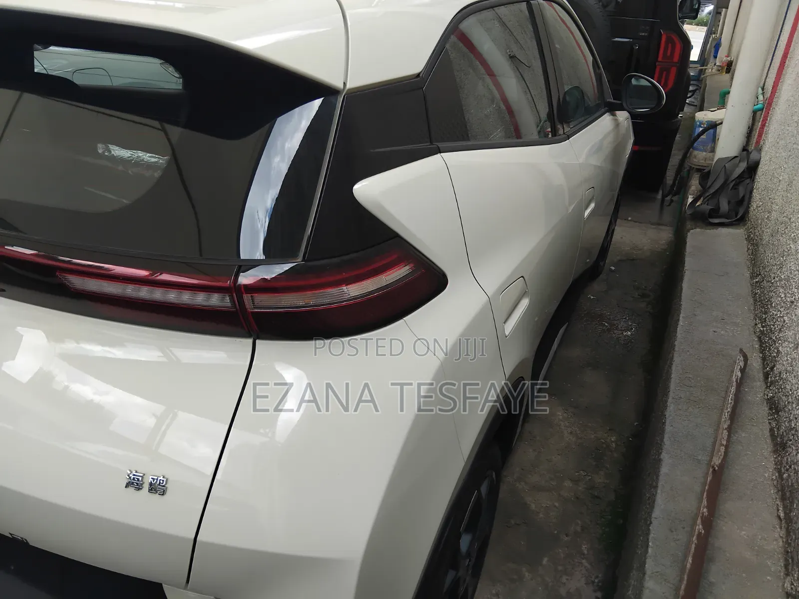 New BYD Seagull 2024 White