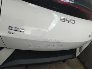 New BYD Seagull 2024 White