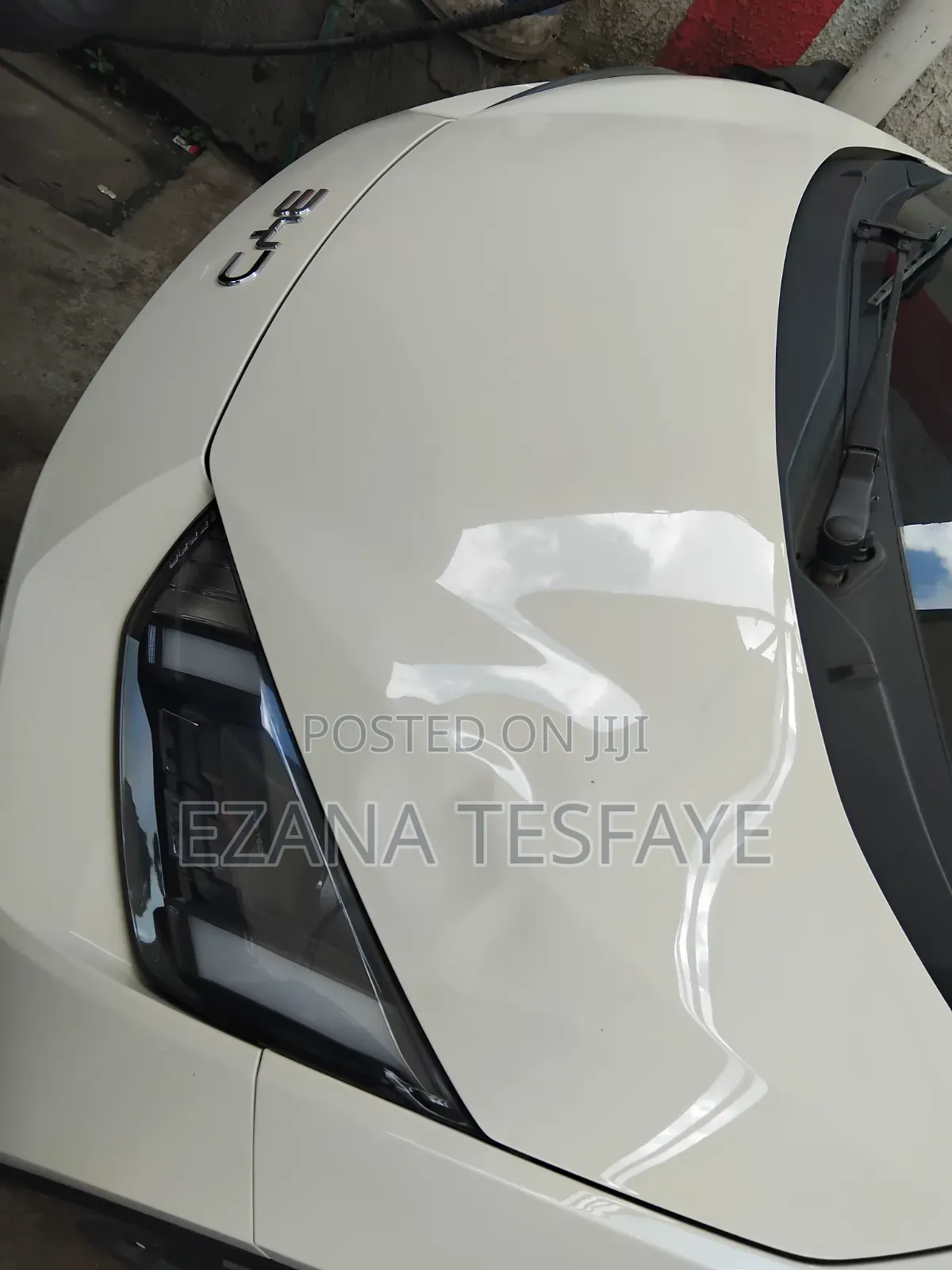 New BYD Seagull 2024 White