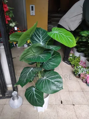 Artificial Plant