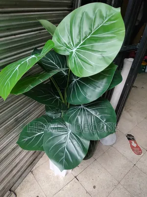 Artificial Plant
