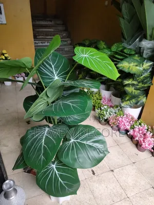 Artificial Plant