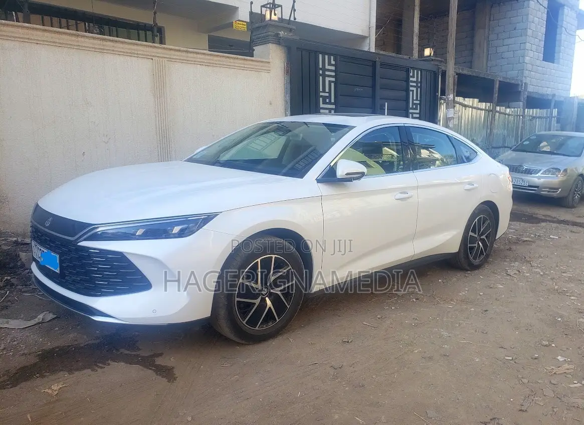 BYD Qin Plus DM-i 2024 White