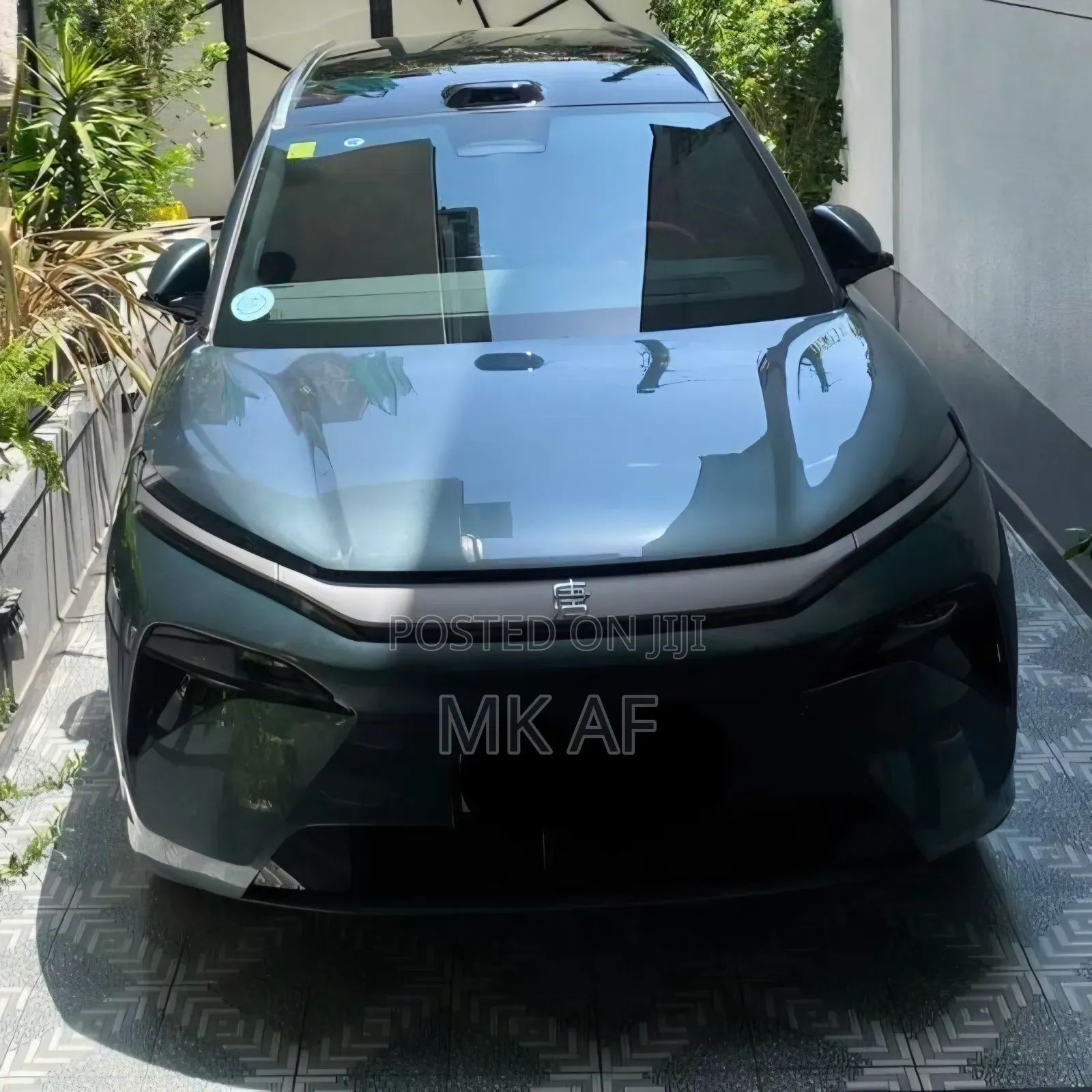 BYD Tang EV 2025 Green